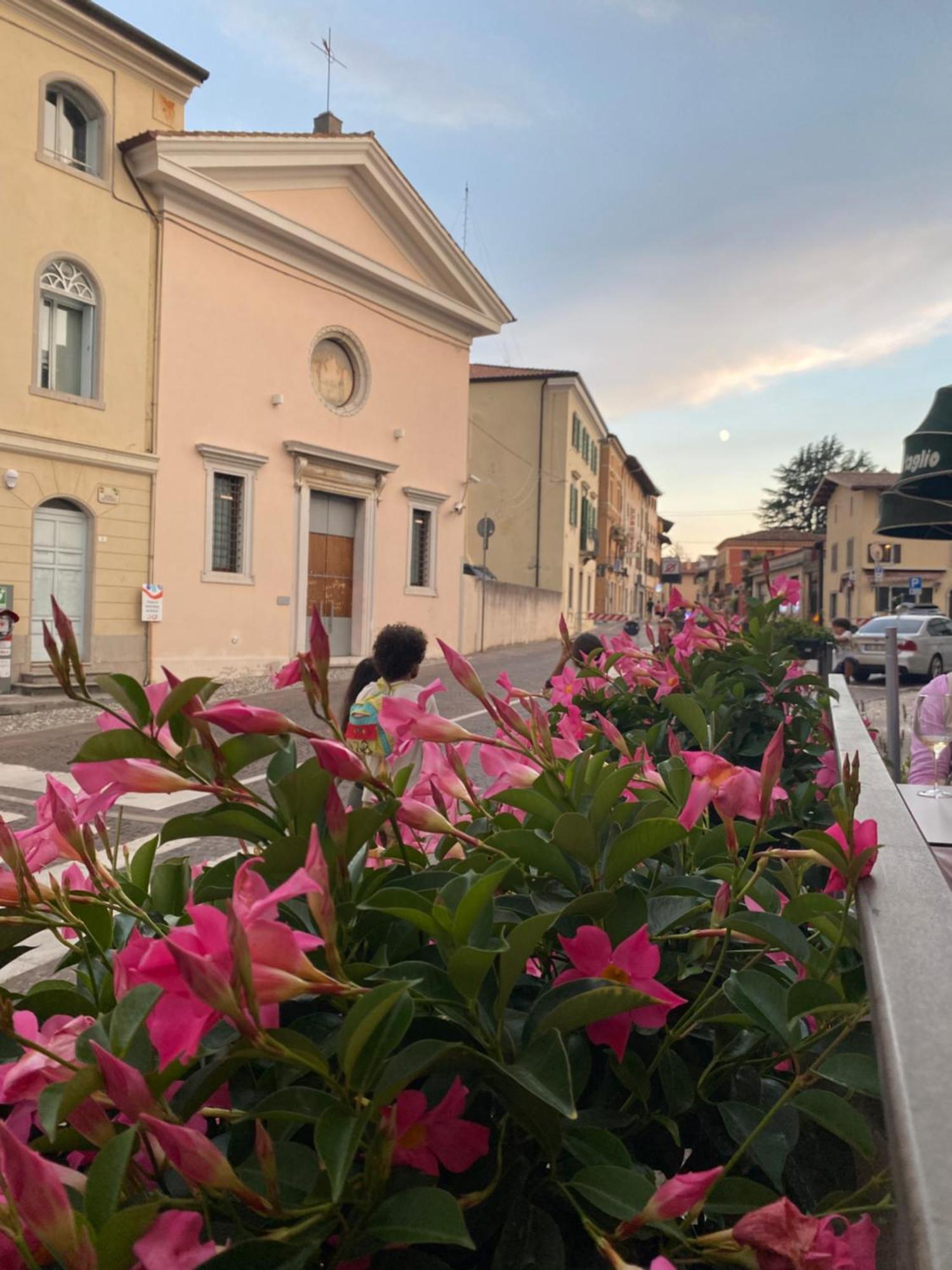 Il Riccio E Il Gufo Hotel Cepletischis Exterior photo